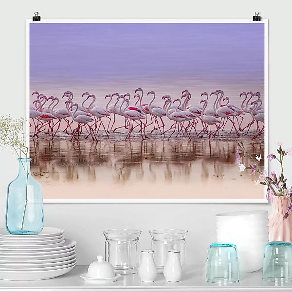 Poster Tiere - Querformat Flamingo Party günstig online kaufen