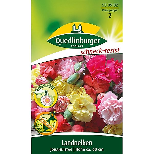 Quedlinburger Landnelke ''Johannistag'' günstig online kaufen