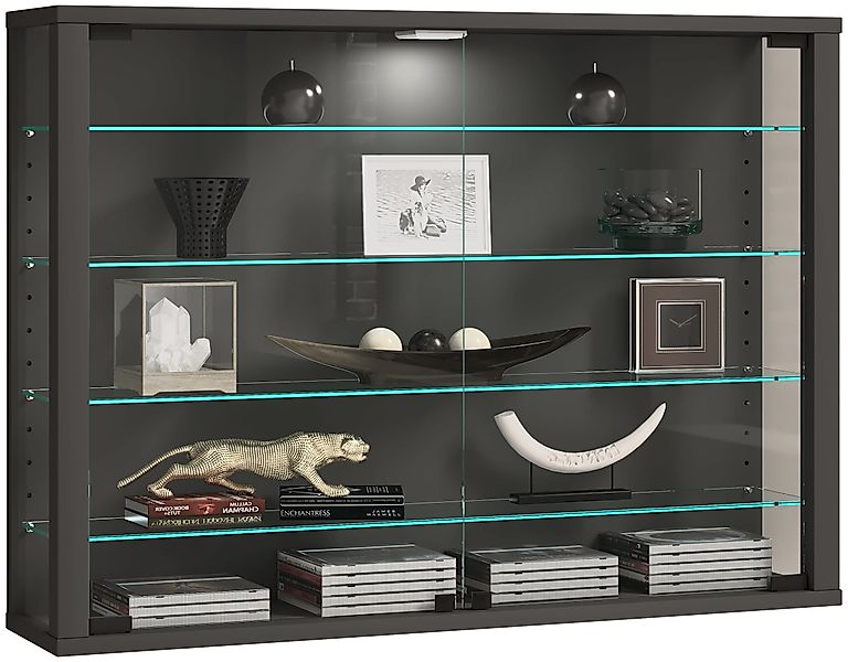 VCM Hängevitrine Wandvitrine Hängevitrine Glasvitrine Vitrosa günstig online kaufen