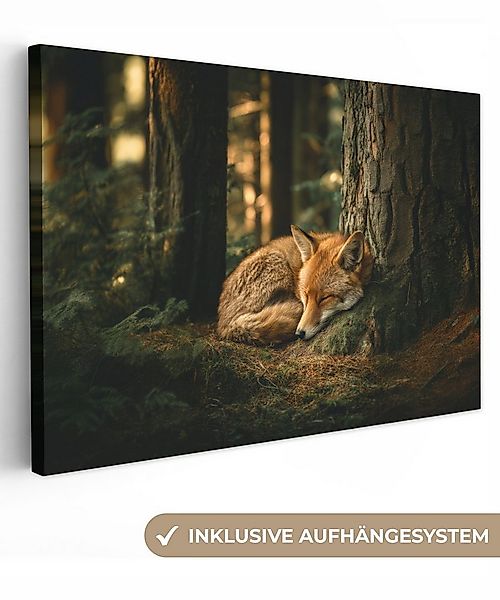 OneMillionCanvasses® Leinwandbild Fuchs - Wald - Schlaf, Fotodruck (1 St), günstig online kaufen