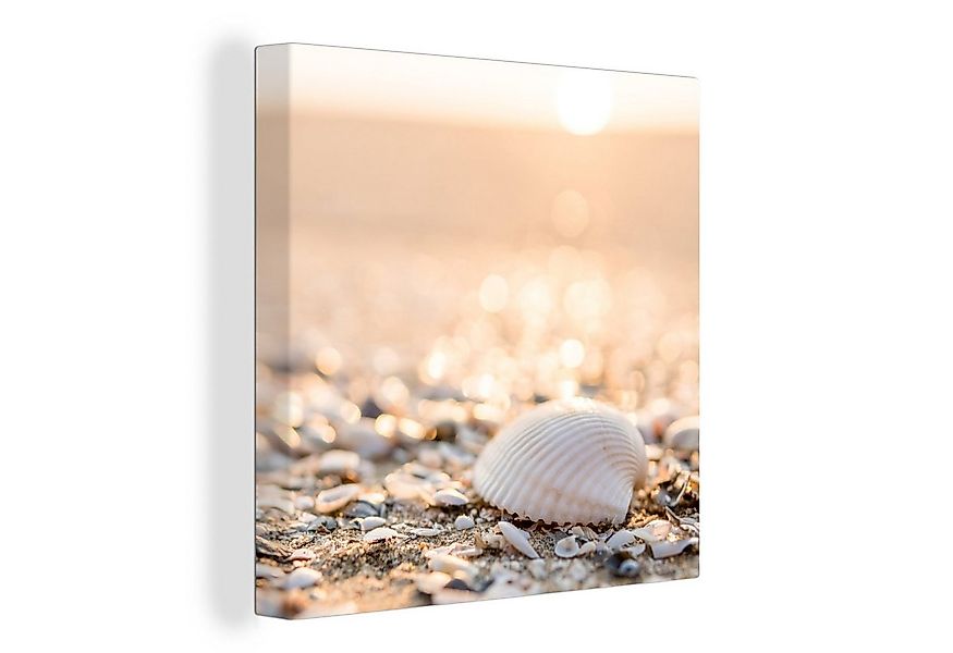 OneMillionCanvasses® Leinwandbild Muscheln - Weiß - Strand - Sommer, Fotodr günstig online kaufen
