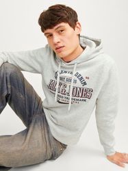 Jack & Jones Kapuzensweatshirt JJELOGO SWEAT günstig online kaufen