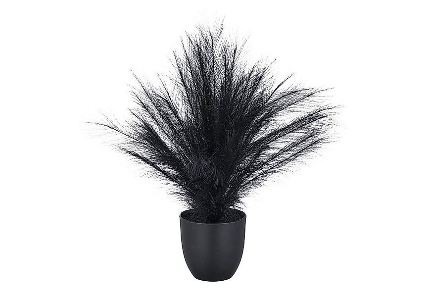 Kunstgras Pampasgras, Creativ green, Höhe 63 cm, in außergewöhnlicher Farbe günstig online kaufen