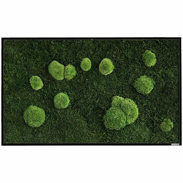 Moosbild im Wald- und Kugelmoosdesign | 100x60cm | Vollholz Rahmen schwarz günstig online kaufen