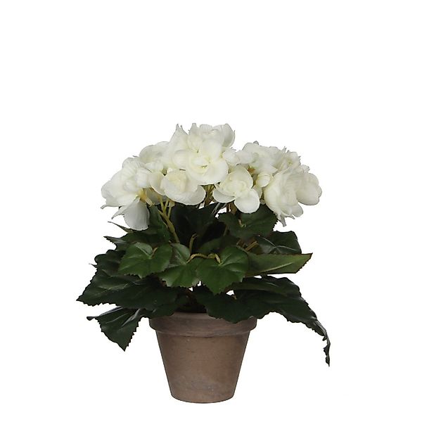 Kunstpflanze Mica Begonia im Topf weiß, günstig online kaufen
