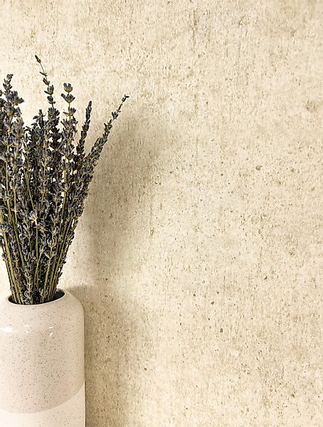 Newroom Vliestapete, Beige Tapete Modern Beton günstig online kaufen
