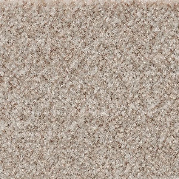 Bodenmeister Teppichboden »Jupiter, Velours - meliert, Made in Belgium«, re günstig online kaufen