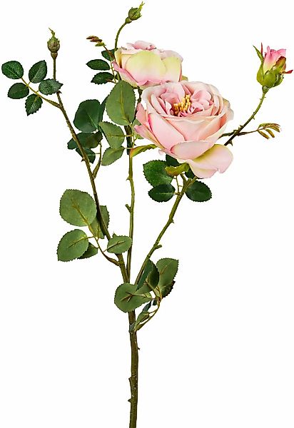Kunstblume, Creativ green, Höhe 63 cm, günstig online kaufen