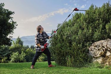 Einhell Power X-Change Akku-Teleskop-Heckenschere GC-HH 18/45 Li T-Solo günstig online kaufen