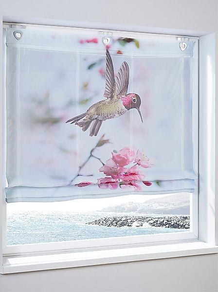 Rollo Raffrollo ., heine, transparent, Ösen mit Fensterhaken günstig online kaufen