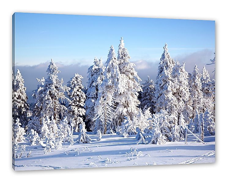Pixxprint Leinwandbild Winterwald, Winterwald (1 St), günstig online kaufen