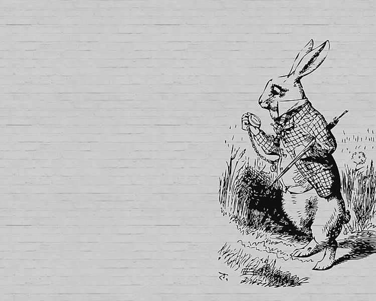 Fototapete "bunny 1" 4,00x2,70 m / Glattvlies Brillant günstig online kaufen