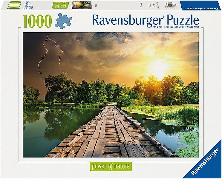 Ravensburger Puzzle power of nature, Mystisches Licht, 1000 Puzzleteile, Ma günstig online kaufen