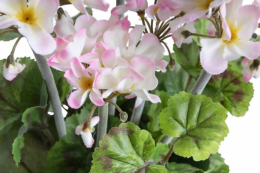 Botanic-Haus Künstliche Zimmerpflanze "Geranienbusch im schwarzen Kunststof günstig online kaufen