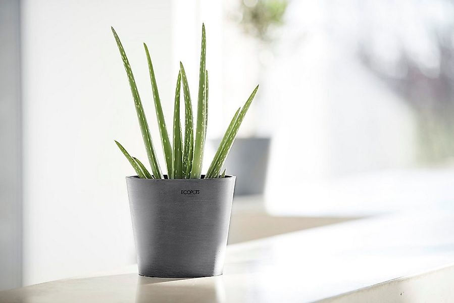 ECOPOTS Blumentopf AMSTERDAM Mini Grey, BxTxH: 17x17x14,9 cm günstig online kaufen