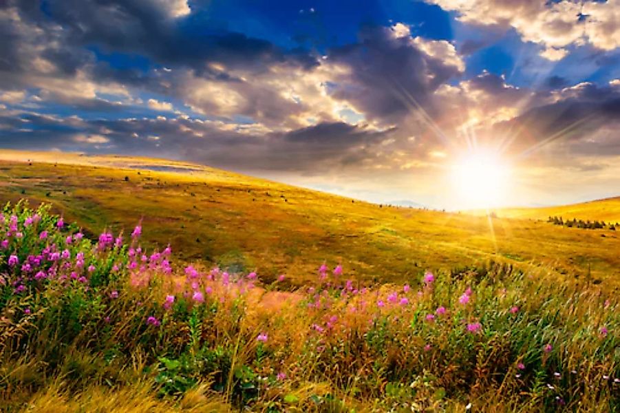 Papermoon Fototapete »Wild Flowers Mountain Sunset« günstig online kaufen