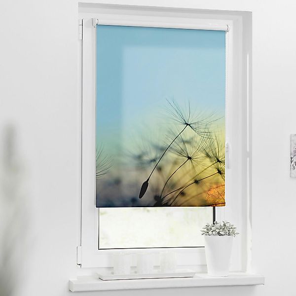 Verdunkelungsrollo Pusteblume blau B/L: ca. 90x150 cm günstig online kaufen