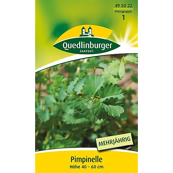Quedlinburger Pimpinelle günstig online kaufen