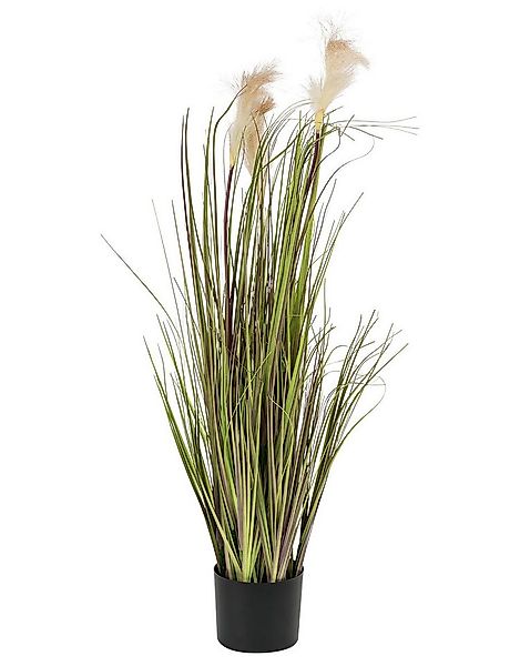 Kunstpflanze LIVARNO home Kunstpflanze Seegras Ø 17 x H 120 cm Polyester In günstig online kaufen