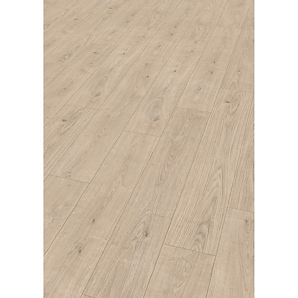 Egger Laminatboden EL1031 NatureSense Berdal Eiche Hell günstig online kaufen