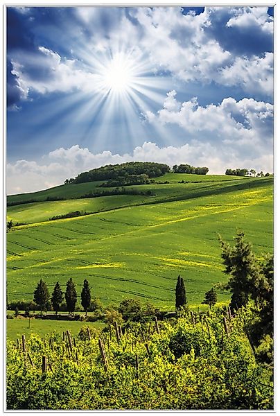 Wallario Poster, Strahlender Sonnenschein, in verschiedenen günstig online kaufen