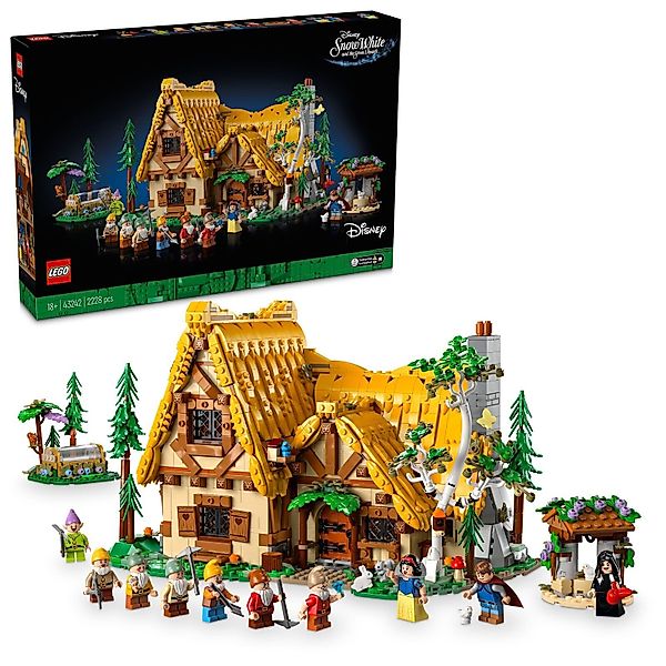LEGO® Disney 43242 Die Hütte von günstig online kaufen