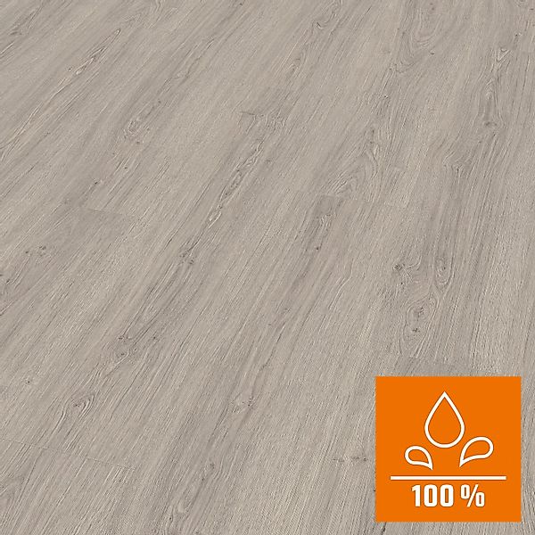 EGGER Laminat EL1010 Victoria Eiche hellgrau, günstig online kaufen