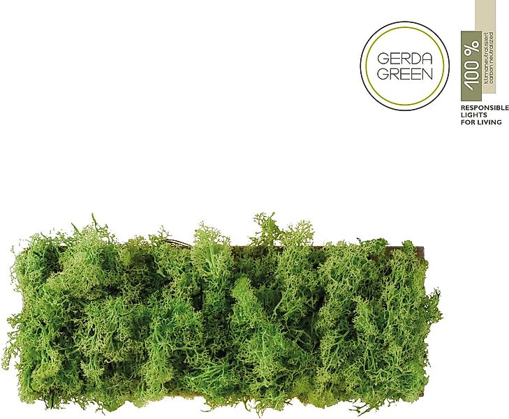 JUST LIGHT Wandleuchte GREEN CARL, LED wechselbar, Warmweiß günstig online kaufen