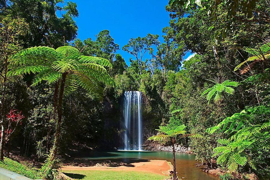 Papermoon Fototapete "Wasserfall im Wald" günstig online kaufen