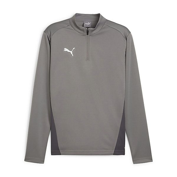 PUMA Langarmshirt Puma Herren Langarmshirt teamGOAL günstig online kaufen