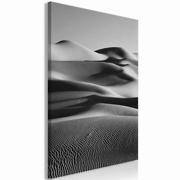 artgeist Wandbild Desert Dunes (1 Part) Vertical schwarz/weiß Gr. 40 x 60 günstig online kaufen