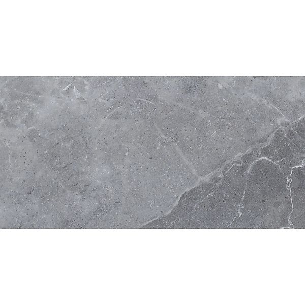 Bodenfliese Feinsteinzeug Silber 60 cm x 30 cm günstig online kaufen