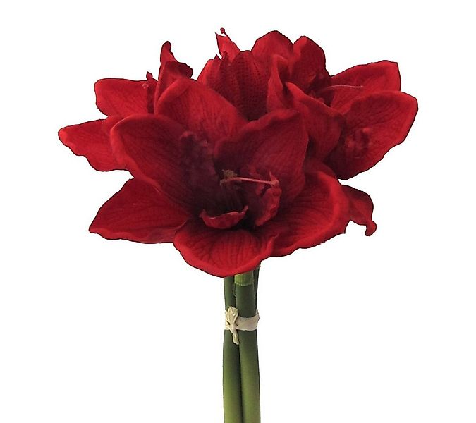 Kunstblume Kunstblume AMARYLLIS 32cm. BUND mit 3 Amarillis., Gasper, Höhe 3 günstig online kaufen