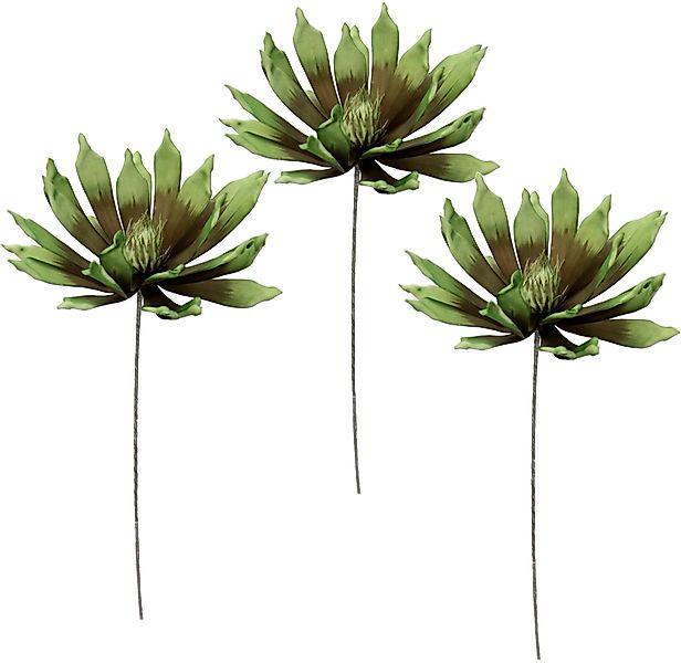 Kunstblume Soft-Protea, I.GE.A., Höhe 84 cm, günstig online kaufen