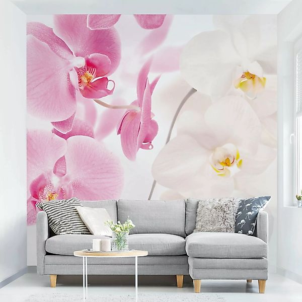 Fototapete Delicate Orchids günstig online kaufen