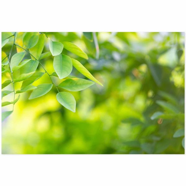 younikat Küchenrückwand Younikat, Küchen-Rückwand Spritzschutz I günstig online kaufen