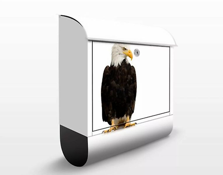 Briefkasten No.379 Eye of the Eagle günstig online kaufen