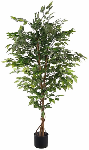 Kunstpflanze Ficus Benjamini Grünpflanze, Creativ green, günstig online kaufen