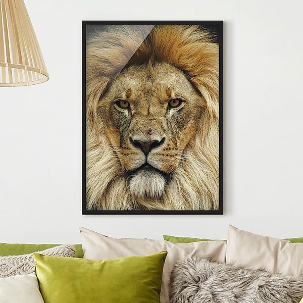 Bild mit Rahmen - Hochformat Wisdom of Lion günstig online kaufen