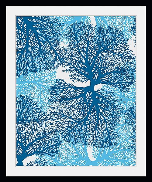queence Bild »Mirco«, Meer-Wassertiere-Kunst, (1 St.), HD Premium Poster-Dr günstig online kaufen