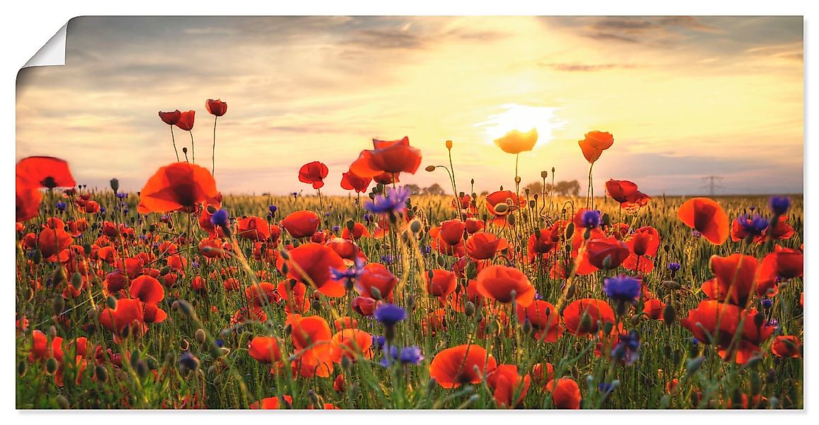 Artland Wandbild Mohnblumen, Blumen (1 St), günstig online kaufen