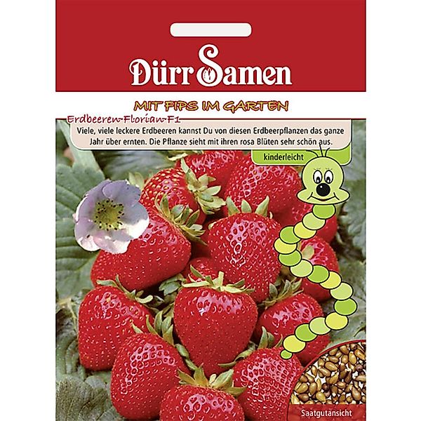 Dürr Samen Kindersorte Erdbeeren Florian F1 Saatgut günstig online kaufen