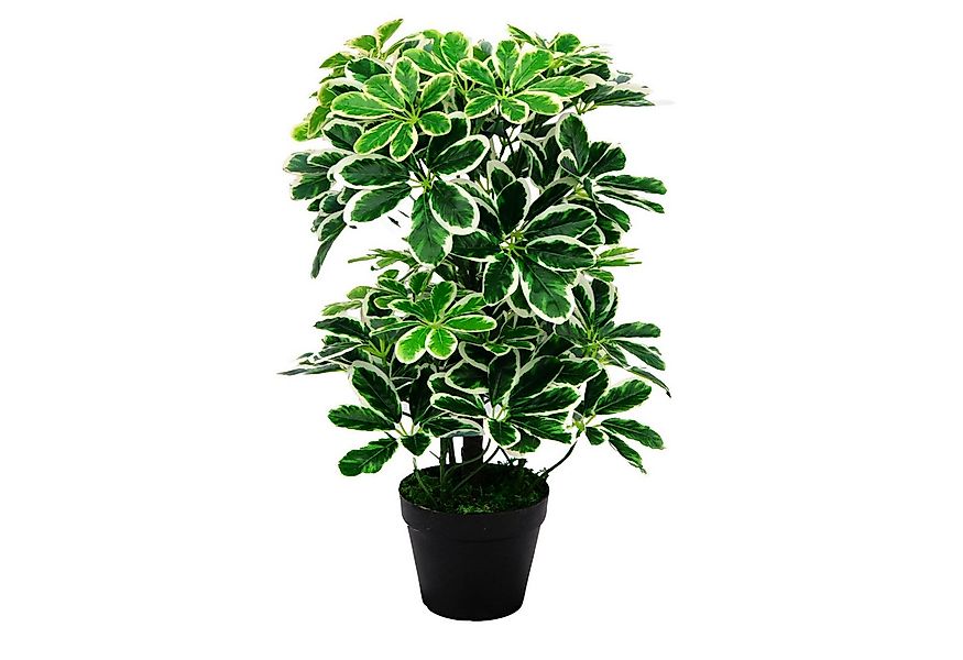 Kunstpflanze SMARAGDLINE künstliche Grünpflanzen in verschiedenen Ausführun günstig online kaufen