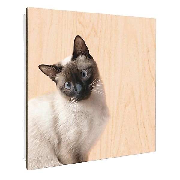 Banjado Schlüsselkasten mit Holzfront 30x30cm Weiß Scharnier Links 50 Haken günstig online kaufen