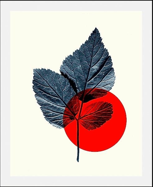 queence Bild »Focus«, Abstrakt-Pflanzen-Pflanzenbilder-Art-Figuren, (1 St.) günstig online kaufen