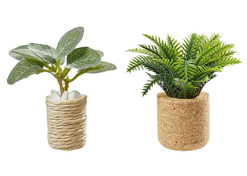 HobbyFun Dekofigur Zimmerpflanzen (2 St), 2-tlg. Set günstig online kaufen