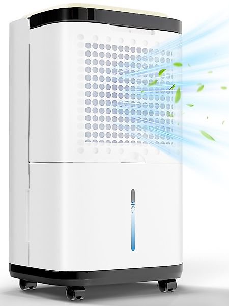 HOMALL Luftentfeuchter Elektrisch 12L/Tag für Wohnung, günstig online kaufen