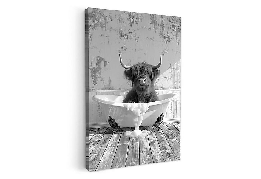 OneMillionCanvasses® Leinwandbild Schottischer Highlander - Tier - Badewann günstig online kaufen