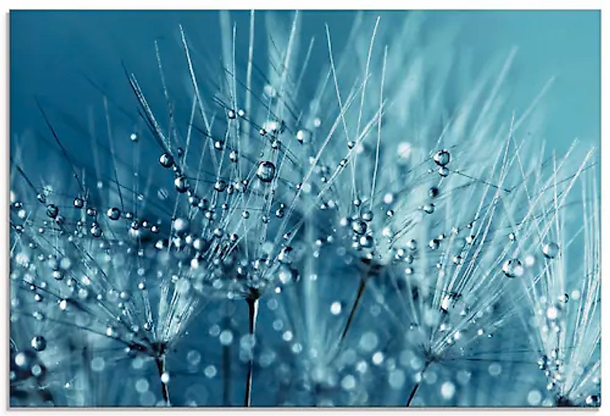 Artland Glasbild »Blaue glitzernde Pusteblume« 1 Stk. tlg. in verschiedenen günstig online kaufen