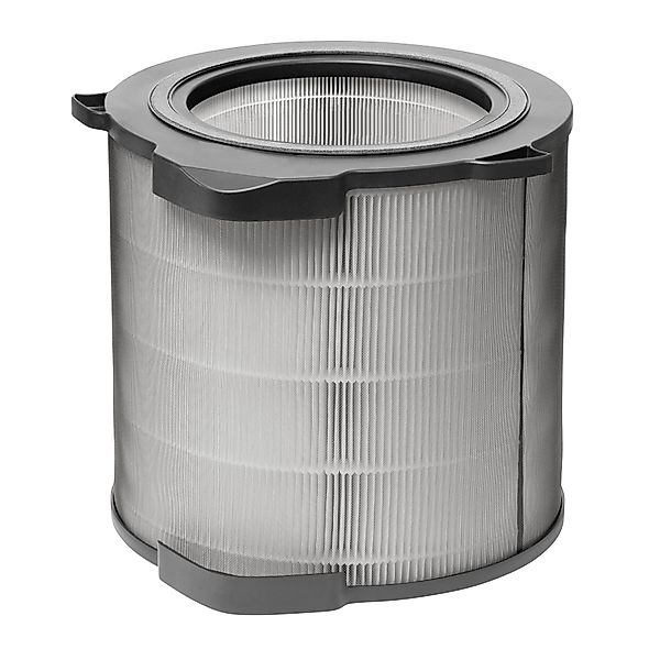 AEG Ersatzfilter AFDCAR4, Viren, Bakterien, Feinstaub-Filtration, günstig online kaufen